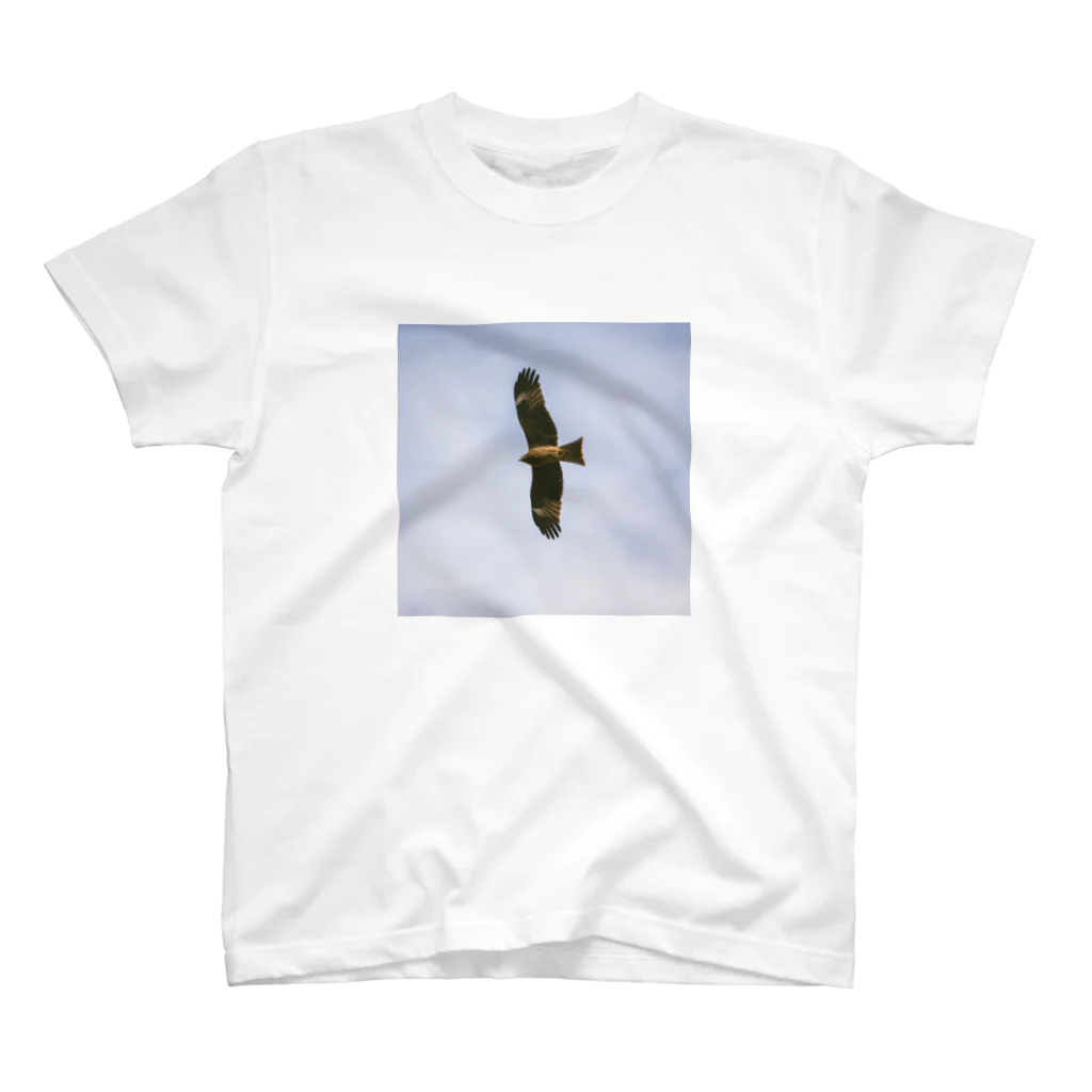 difficultETのBird スタンダードTシャツ