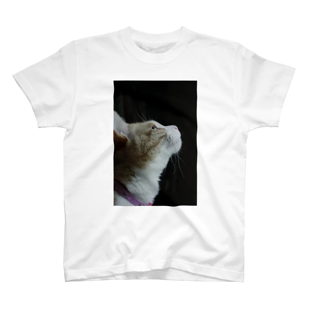 Catoneの猫写真シリーズ Regular Fit T-Shirt