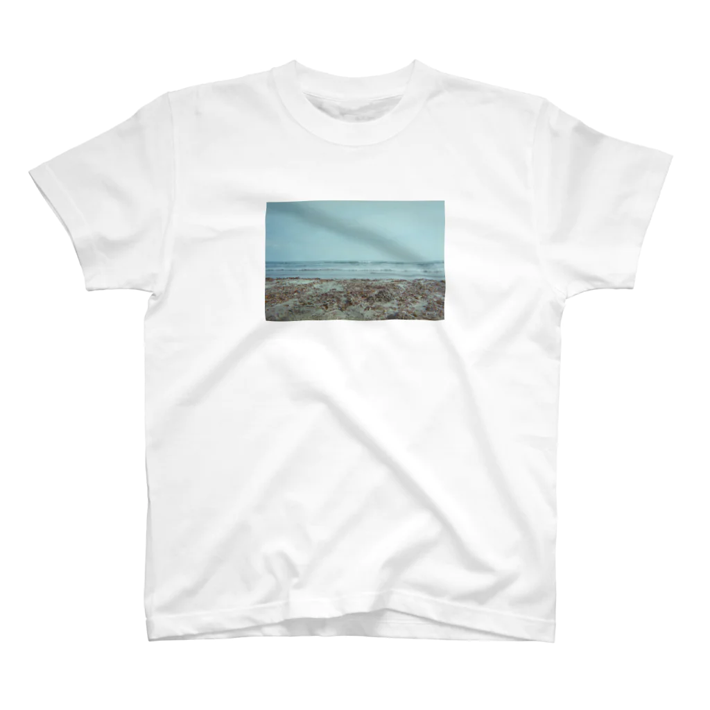 Fuko Takeshimaの海と浜、film スタンダードTシャツ