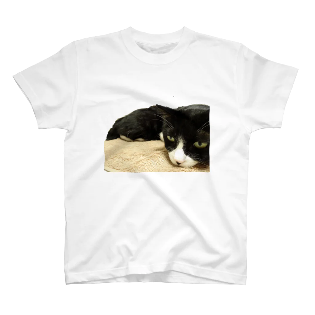 小招猫 is Fukuronekoのじと目のお猫様 Regular Fit T-Shirt