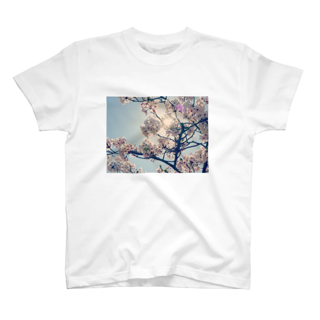 chobiの桜🌸 スタンダードTシャツ