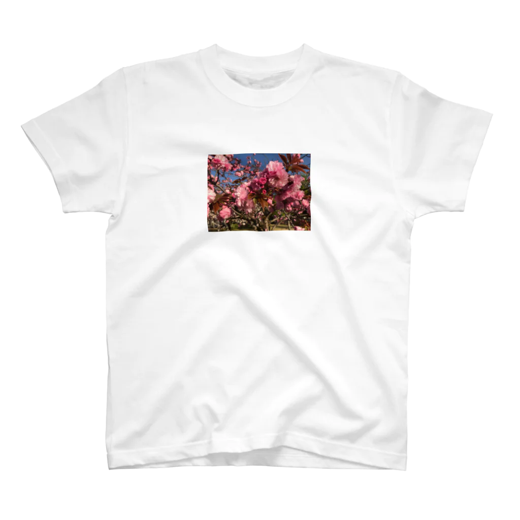 fleurirの花 ピンク 写真 Regular Fit T-Shirt