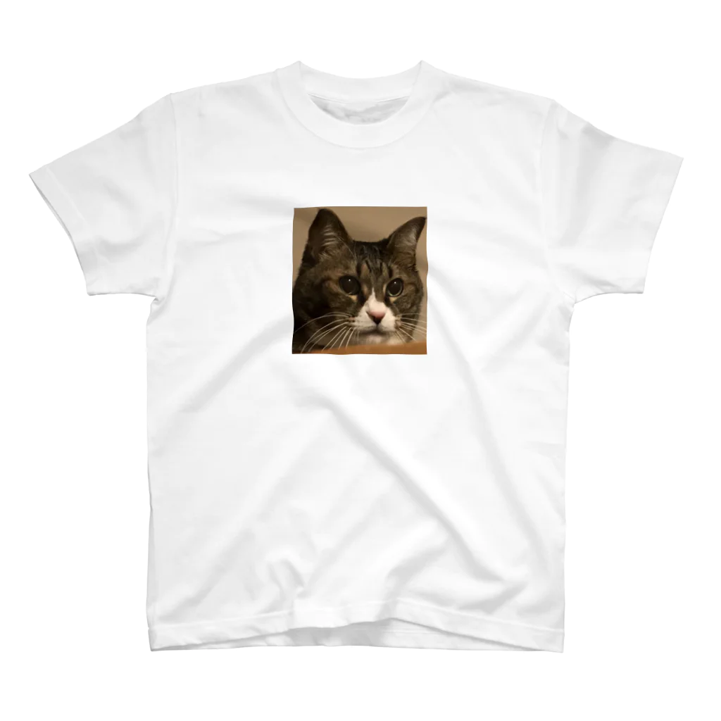 ABUJUNの猫のゴロ君   スタンダードTシャツ