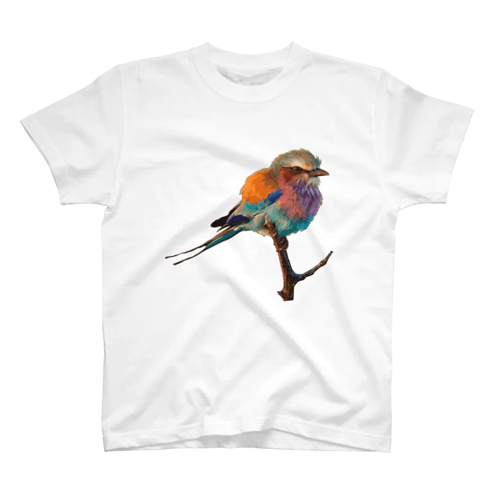 自分が着たいと思うTシャツを作るのカラフルな鳥さん Tシャツ Regular Fit T-Shirt