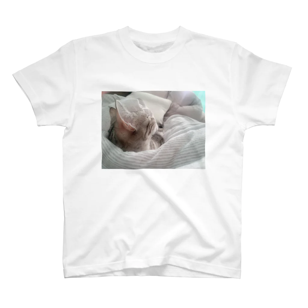 rikkyo_lgbtnizaのねこ Regular Fit T-Shirt