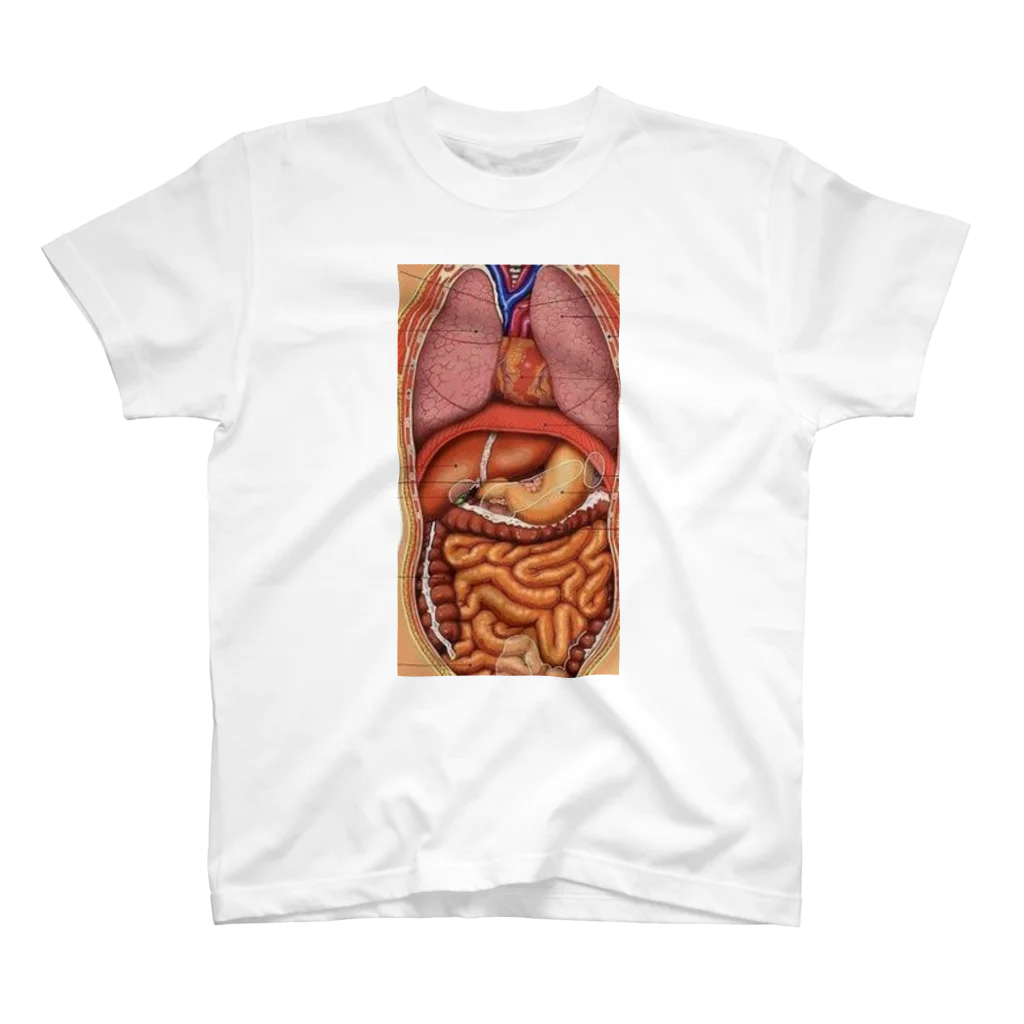 Liarのmodel of the human body  スタンダードTシャツ