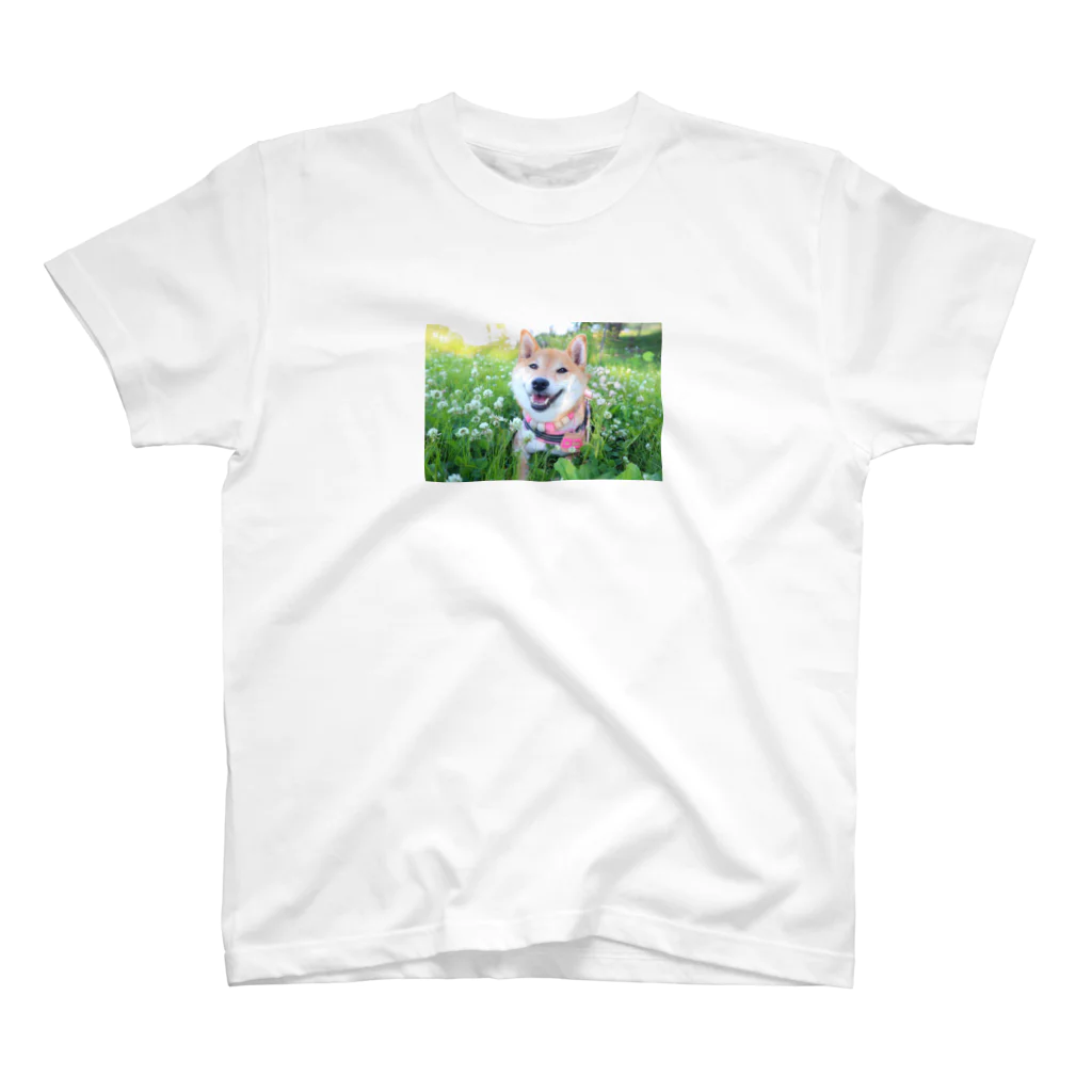 shibainu_rocoの柴犬ロコ Regular Fit T-Shirt