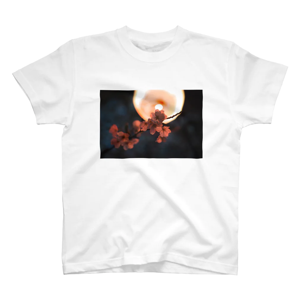 やまぴーの夜桜と提灯シリーズ Regular Fit T-Shirt
