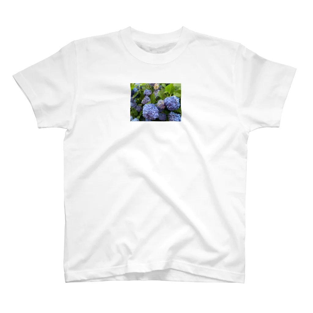 モンずのぼくのいえの花 Regular Fit T-Shirt