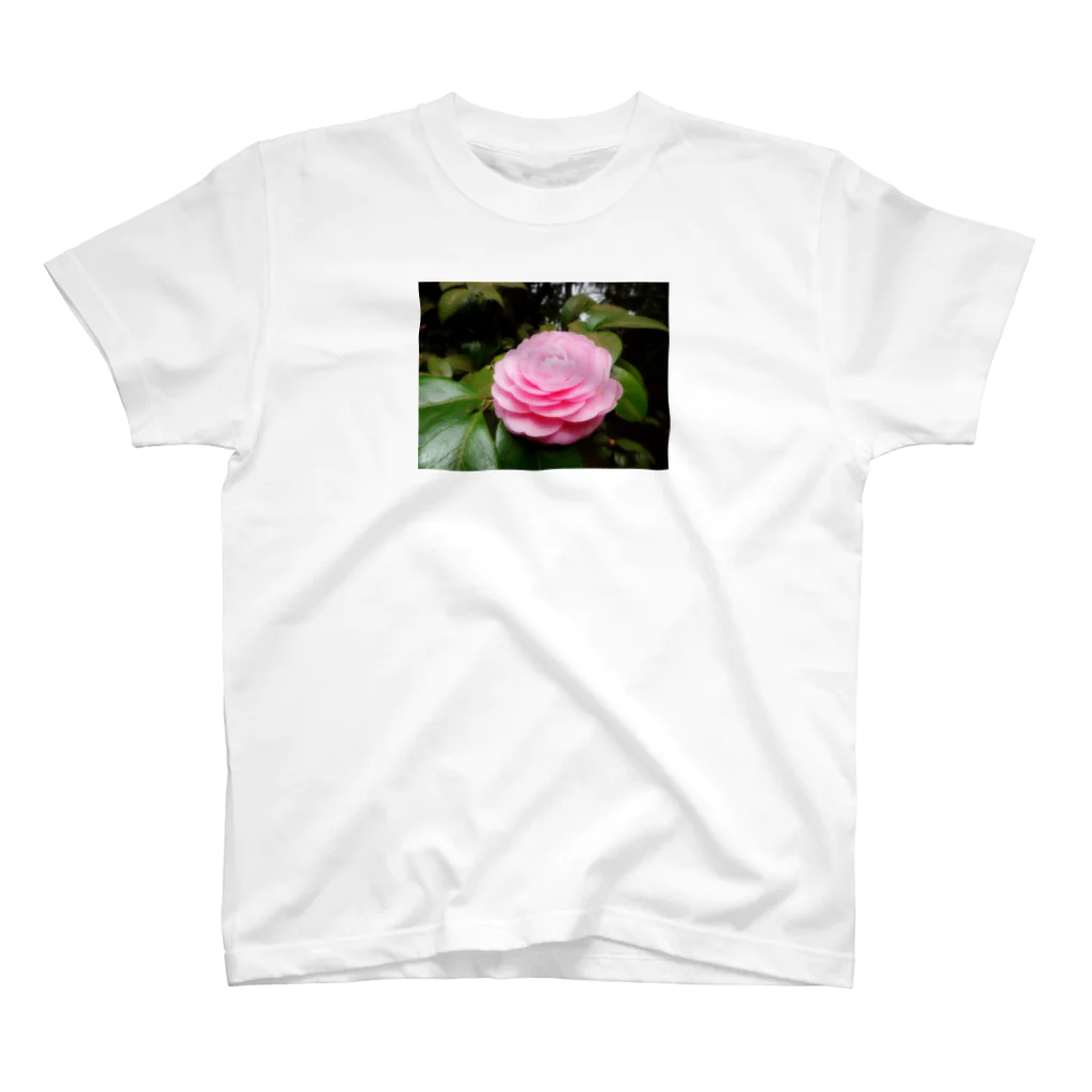 yapyapの花1-2 スタンダードTシャツ