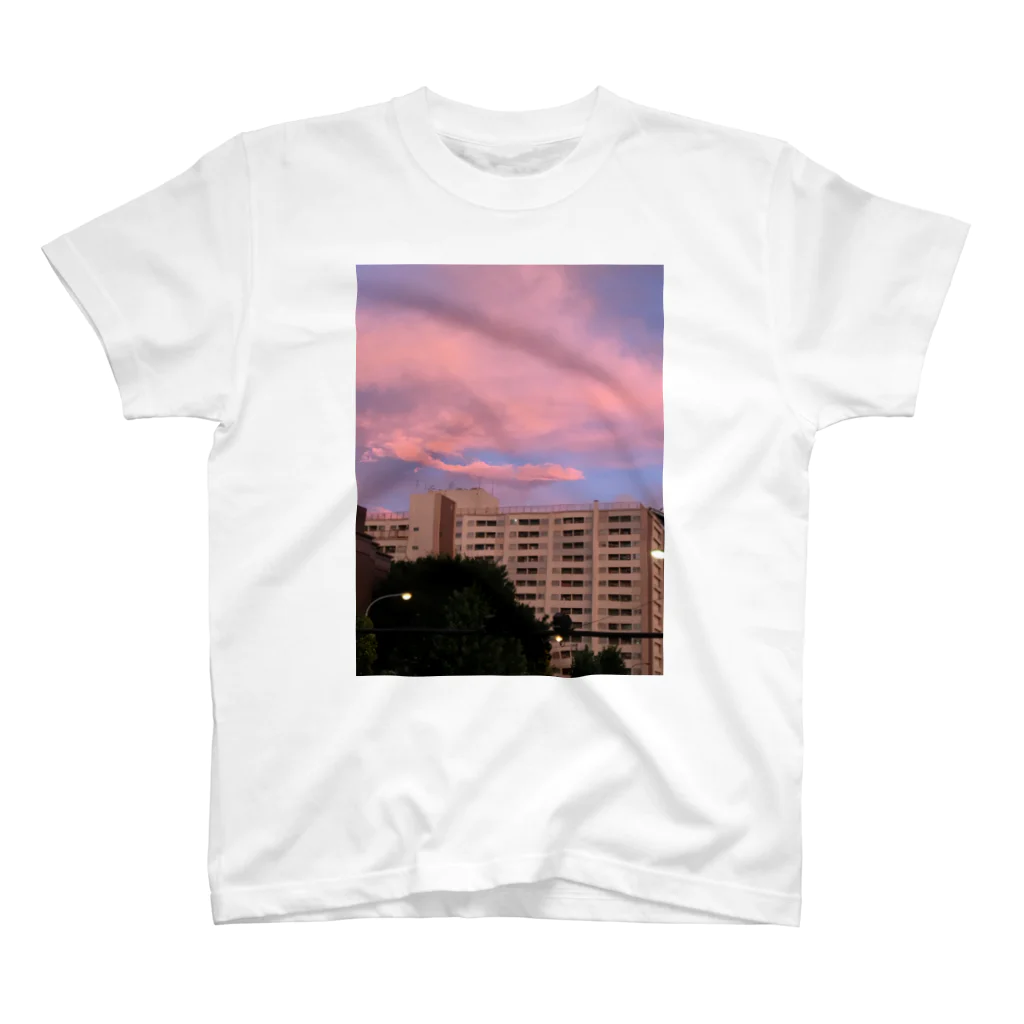 ン子の建築物 Regular Fit T-Shirt