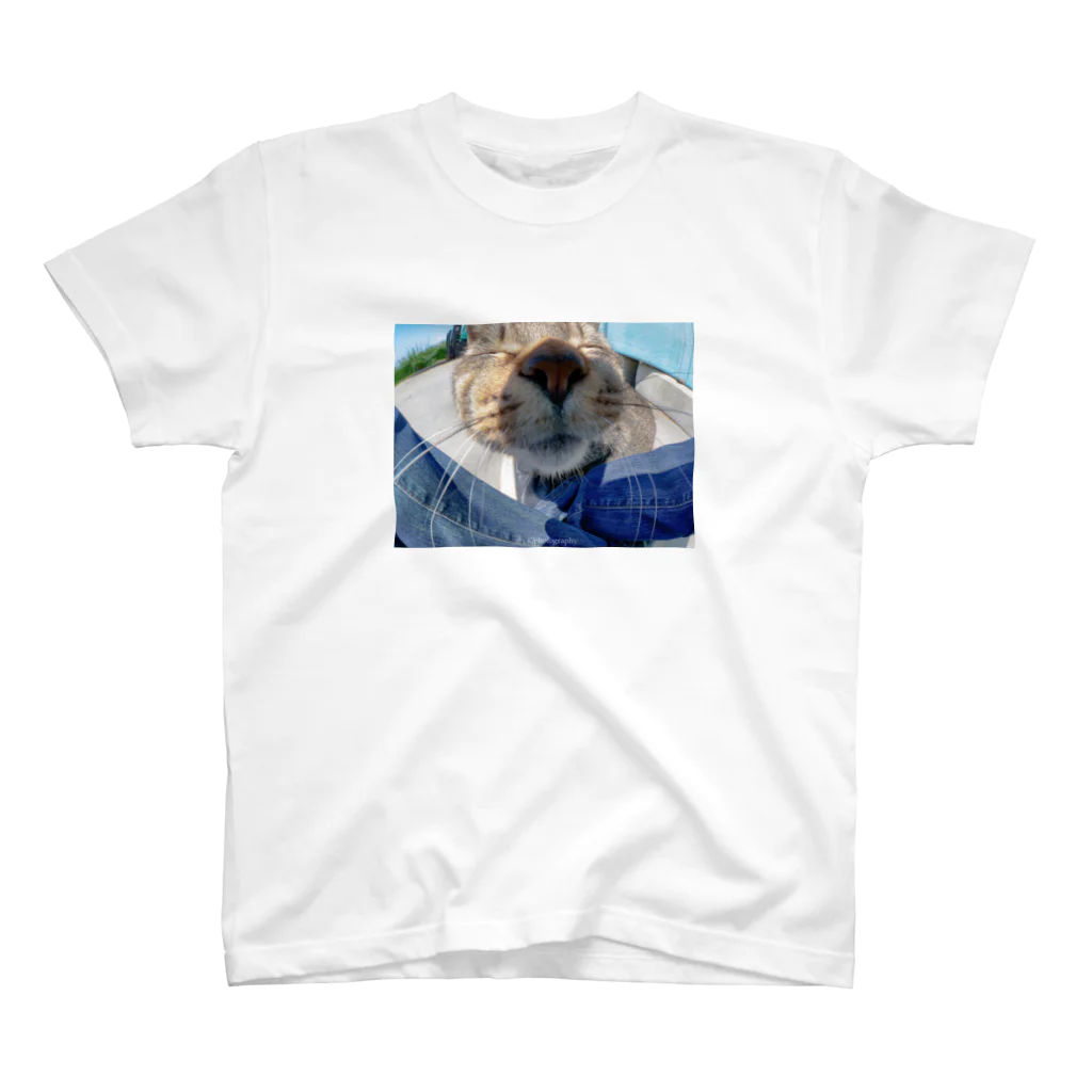 gamigami0829の魚眼越し猫ちゃん スタンダードTシャツ