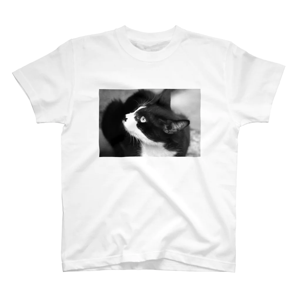 坂本の野良猫 スタンダードTシャツ