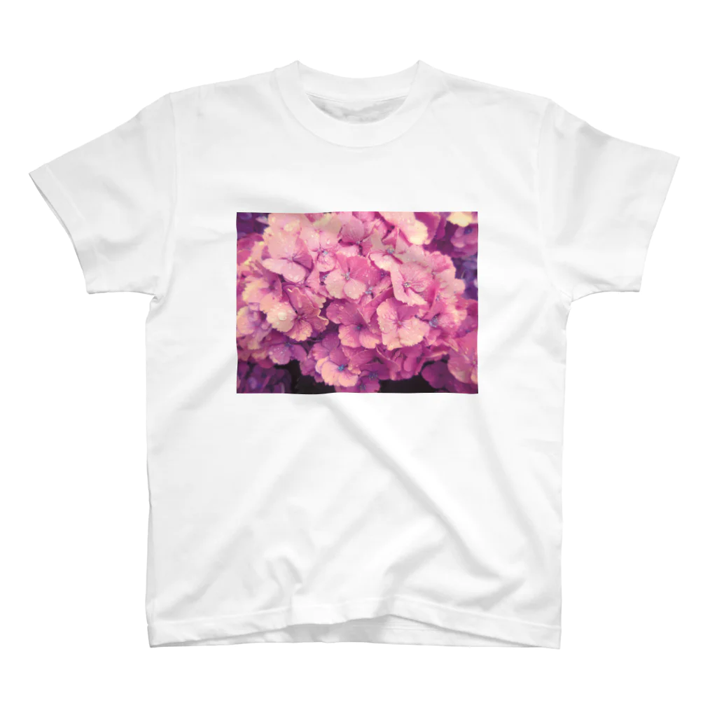 fakirの紫陽花 スタンダードTシャツ