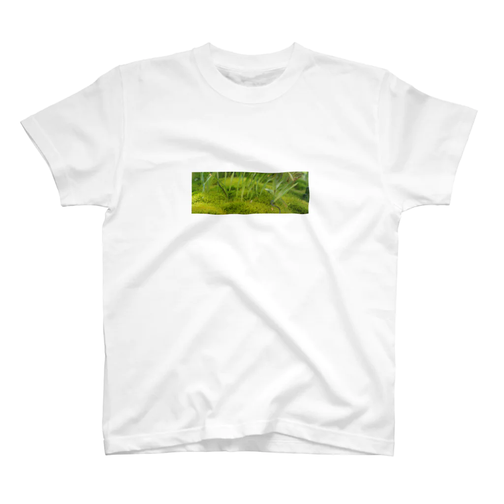 植物さんの苔 (コケ) Regular Fit T-Shirt