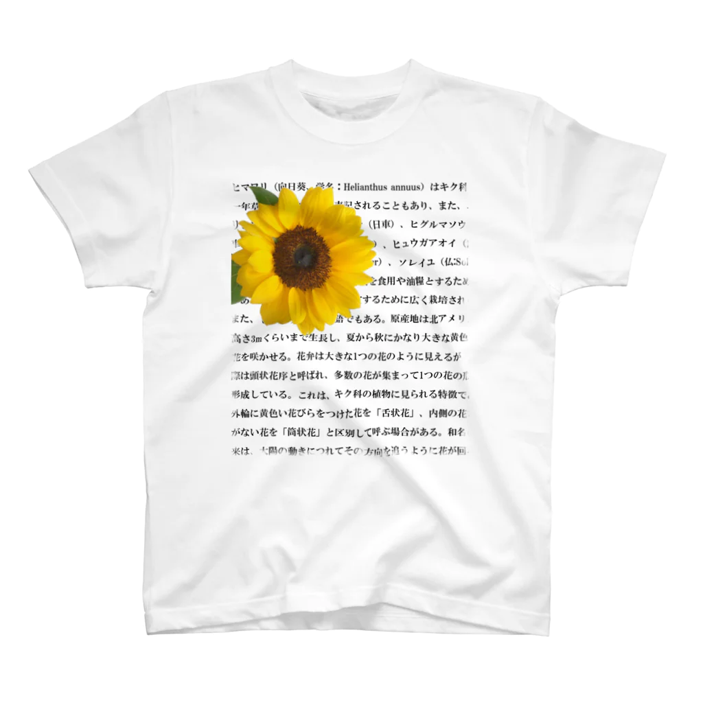 西麻布mingle✿ by花庫のウィキペディアより（ひまわり） スタンダードTシャツ