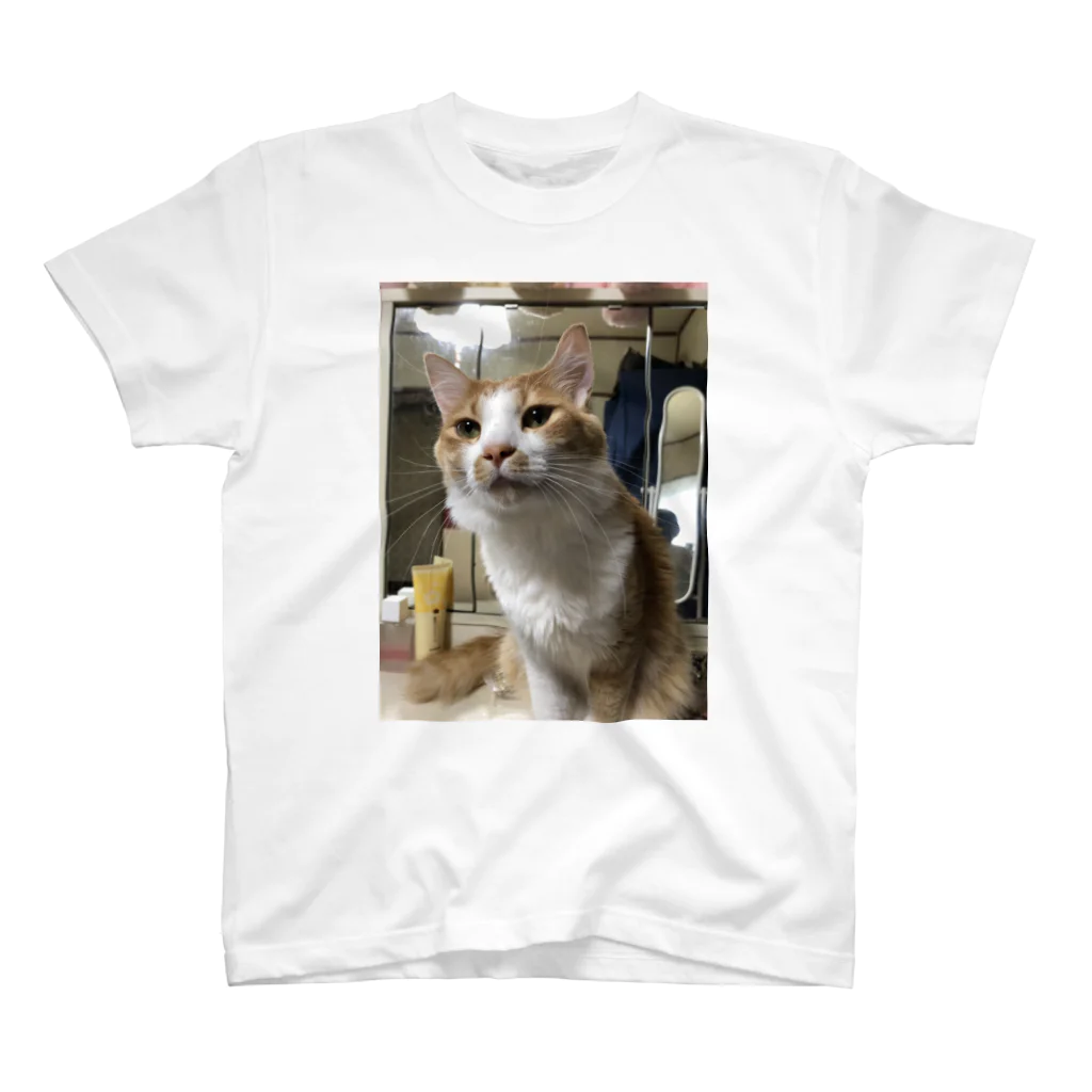 にこにこBLUEの猫の にこくん スタンダードTシャツ