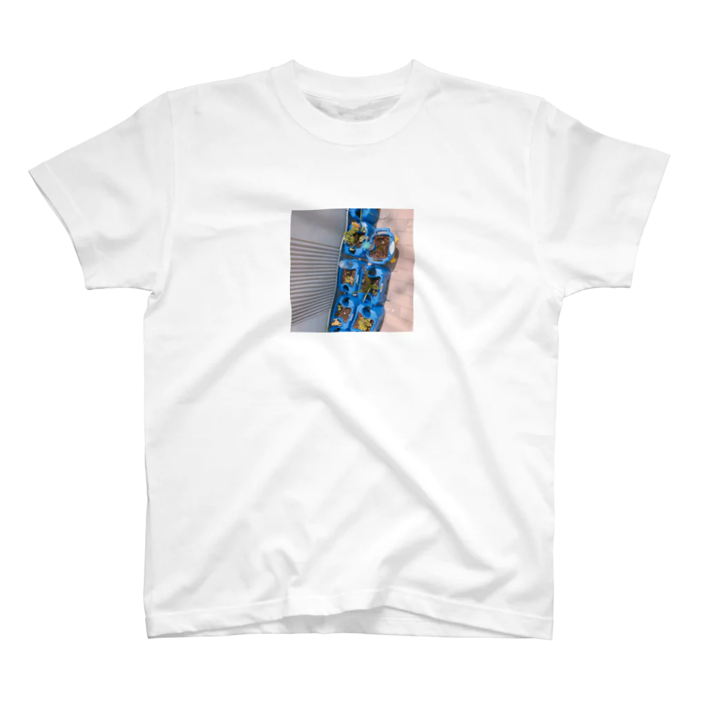 seroniousの小学校の花壇 Regular Fit T-Shirt