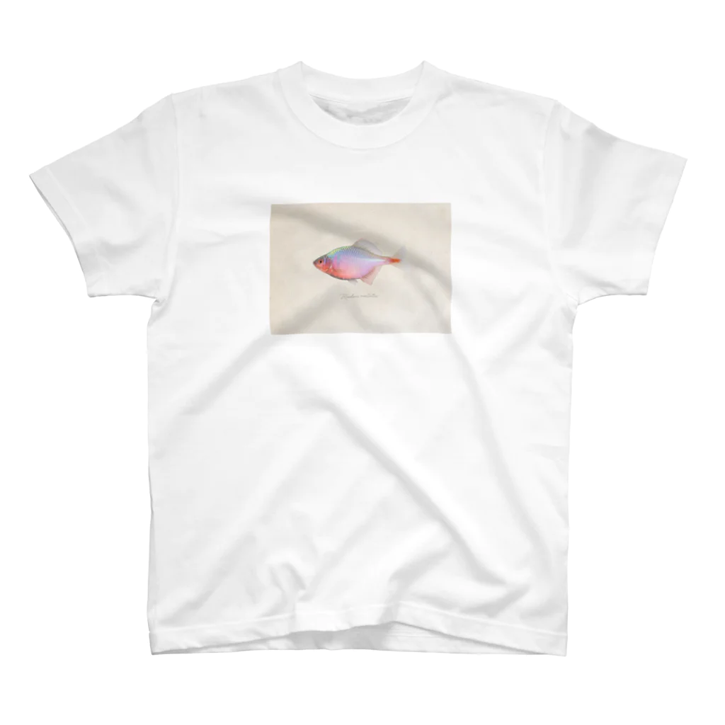 Serendipity -Scenery In One's Mind's Eye-のRhodeus ocellatus Regular Fit T-Shirt