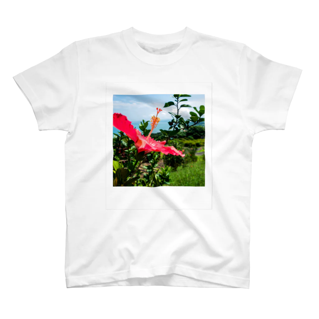 チェキTのHIBISCUS スタンダードTシャツ