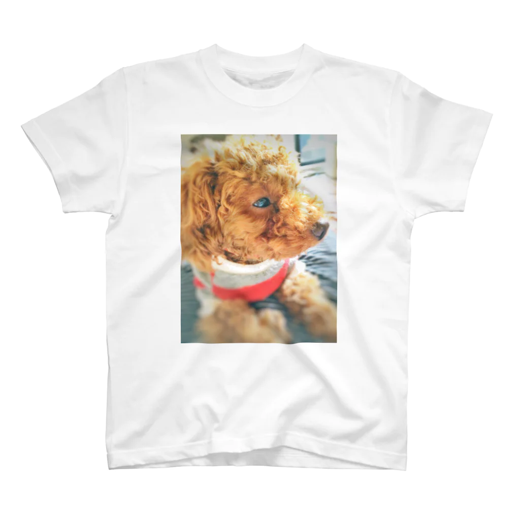 Happy Daysの木漏れ日の中の子犬 スタンダードTシャツ