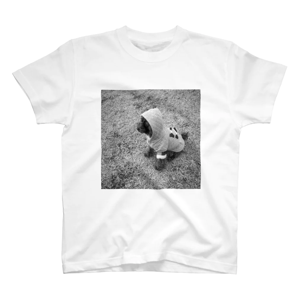 Happy Daysの黄昏の子犬 スタンダードTシャツ