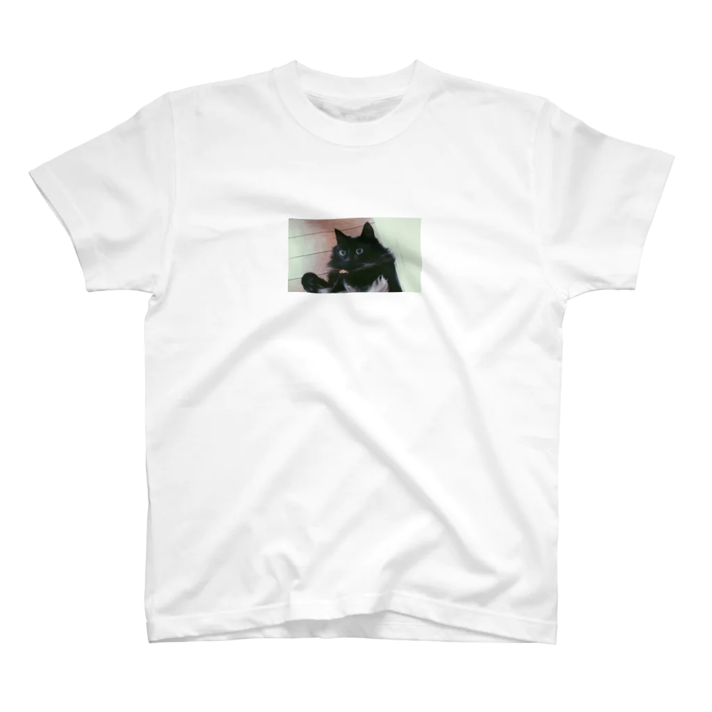 黒猫の住処の黒猫びっくりシリーズ スタンダードTシャツ