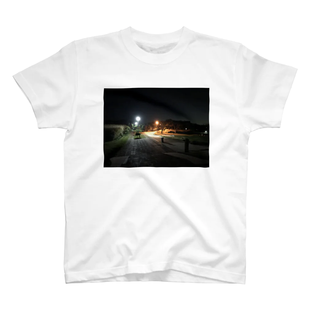 ほしの夜の城ヶ島 スタンダードTシャツ