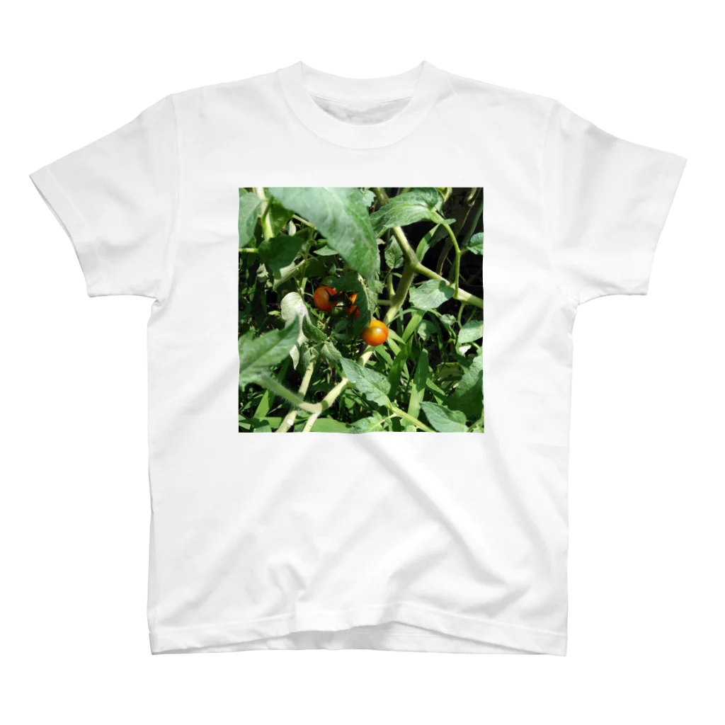 ＳＺＵＫＩの🍅 スタンダードTシャツ