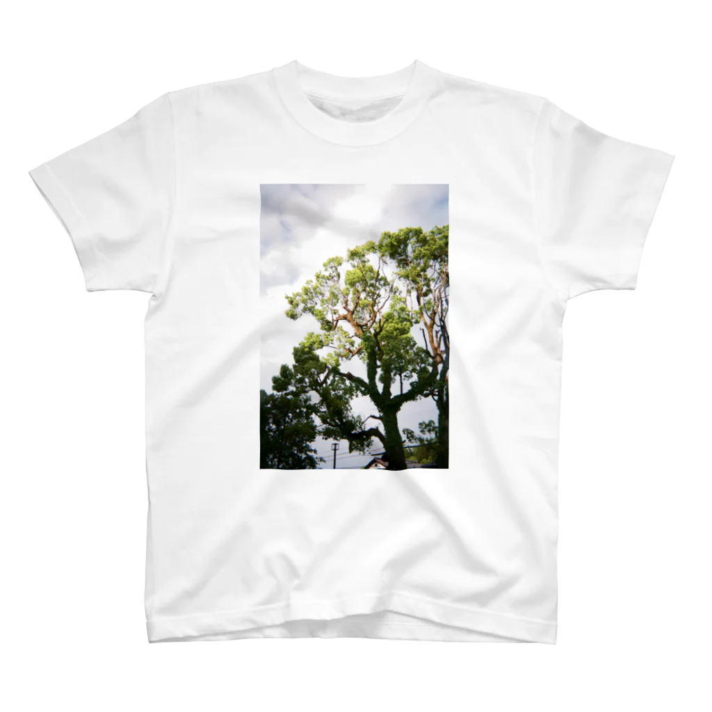 waa WORKSのtree スタンダードTシャツ