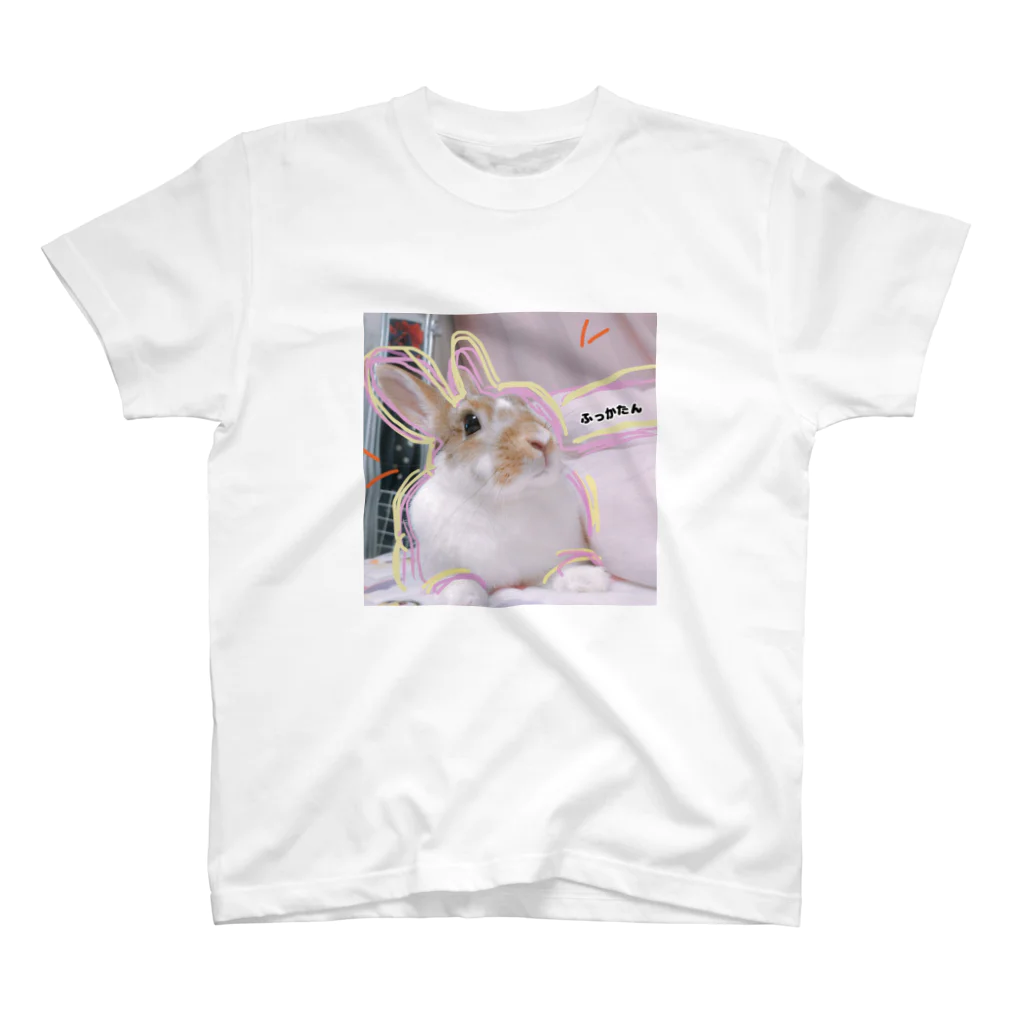 pihaaaのんぎゃわなふっかたん Regular Fit T-Shirt