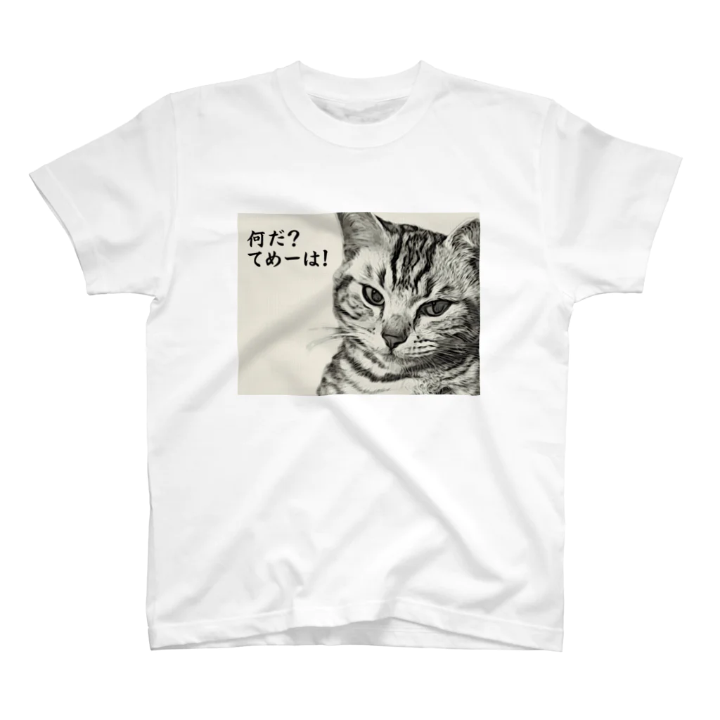 にゃんたみやのなんだてめーは！ Regular Fit T-Shirt