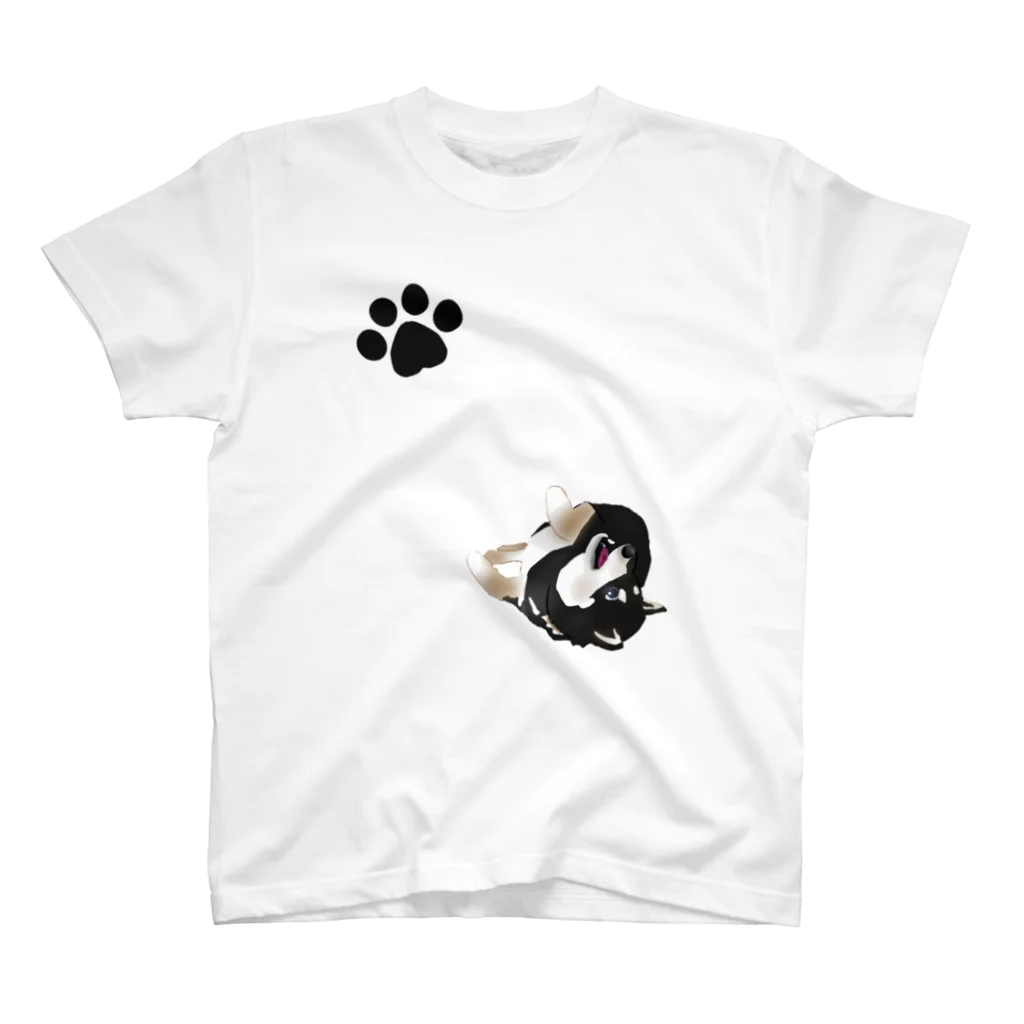 Ariroaの柴犬くん スタンダードTシャツ