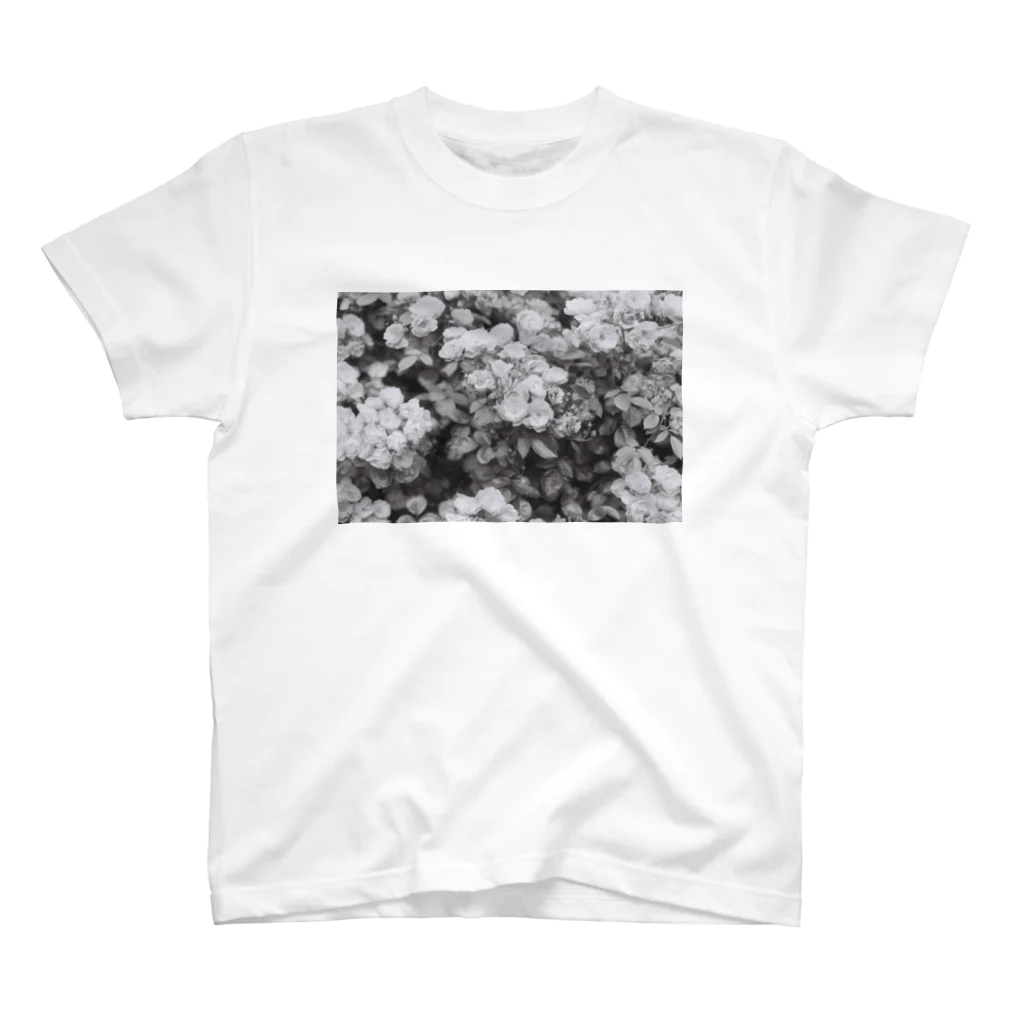 kio photo worksのflowers  スタンダードTシャツ