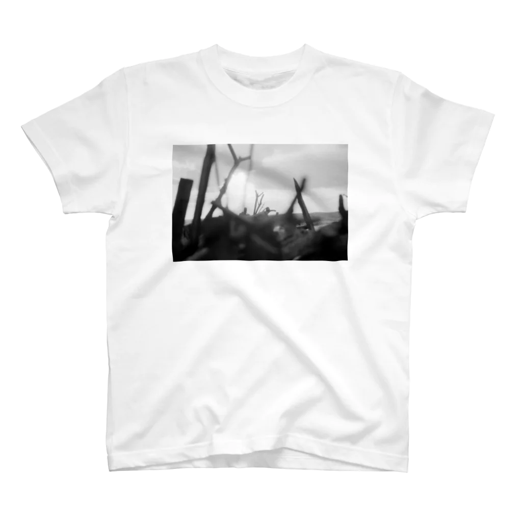 kio photo worksのEvening sea light スタンダードTシャツ