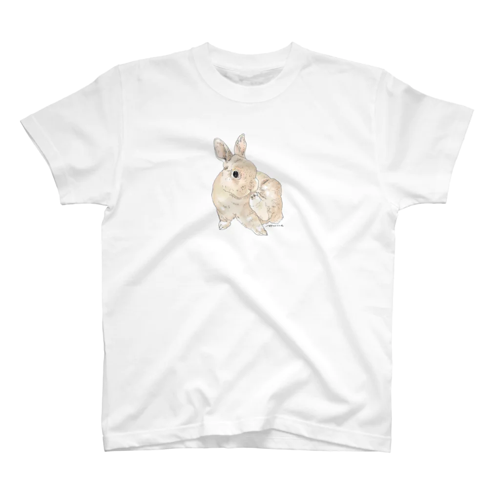 ヒラノマキコの2015.02月うさぎ スタンダードTシャツ