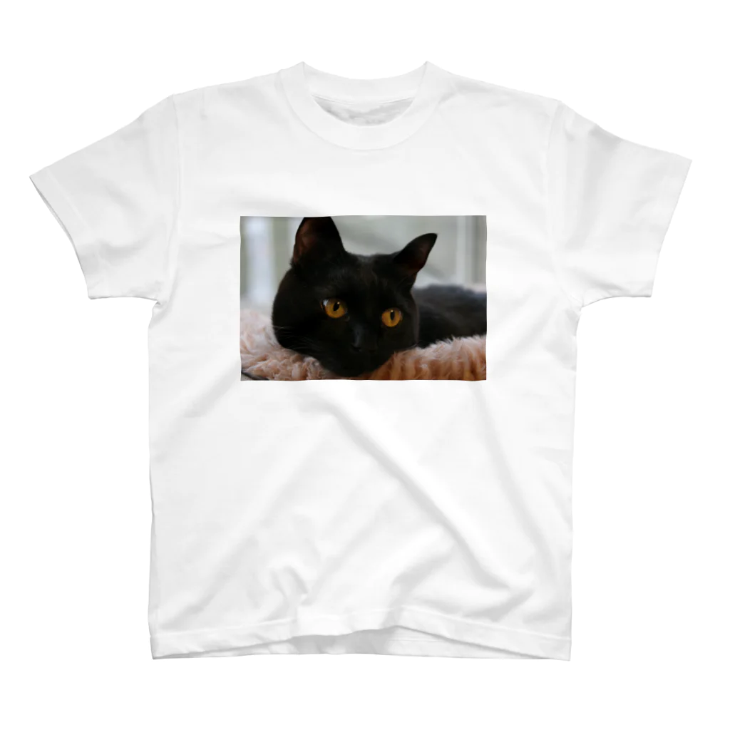 polepole-officeの黒猫ヴィヴィの日向ぼっこ Regular Fit T-Shirt