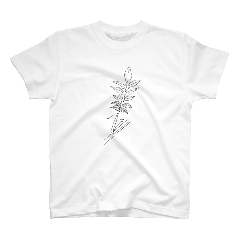 AGryqの草 スタンダードTシャツ