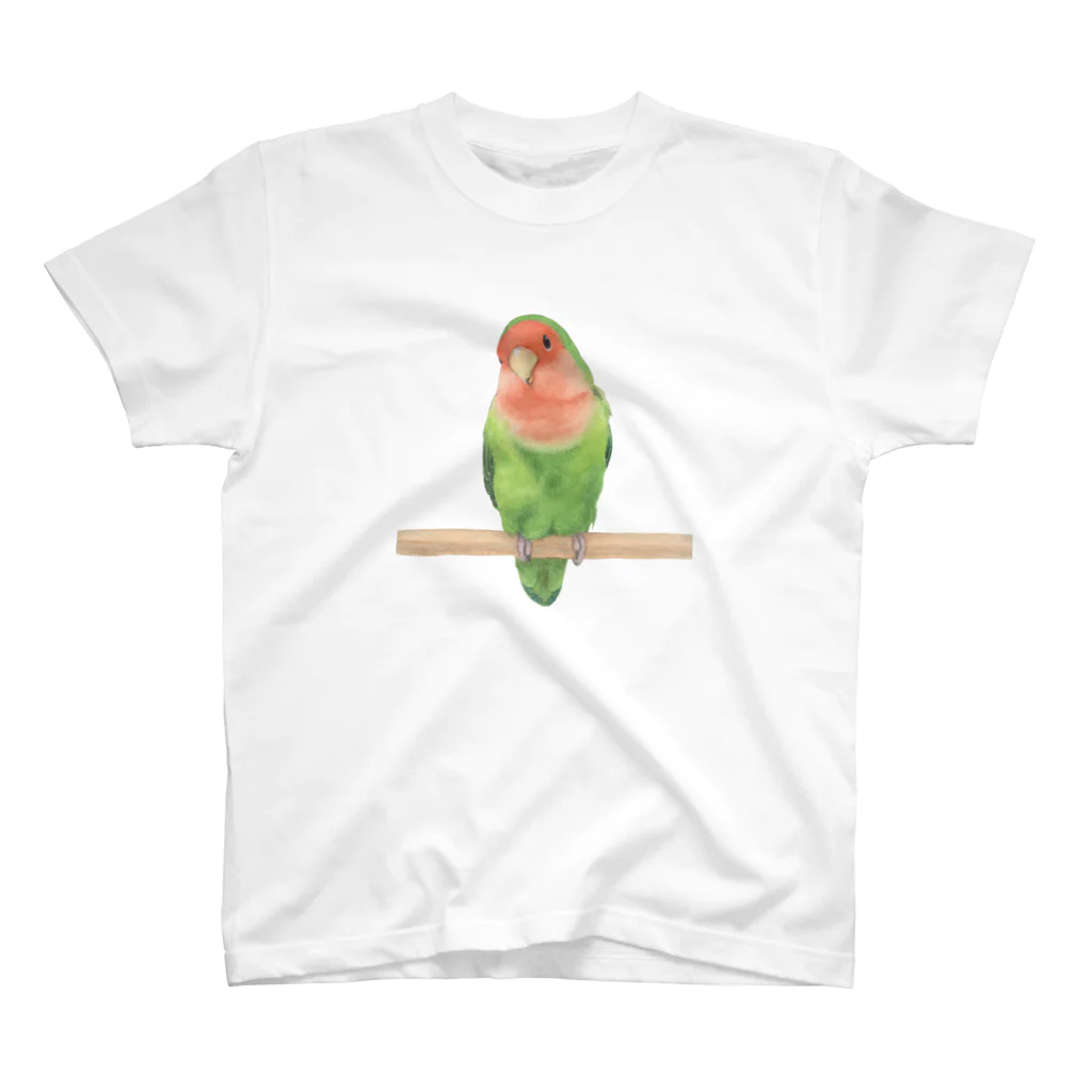 TeaDrop.Cのコザクラインコ スタンダードTシャツ