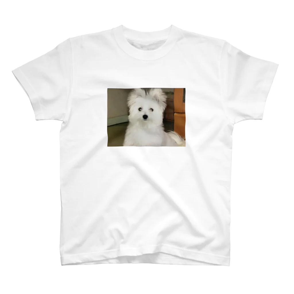 sctcの犬 スタンダードTシャツ