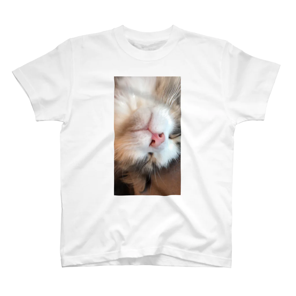 ちぇるの顔面猫 スタンダードTシャツ