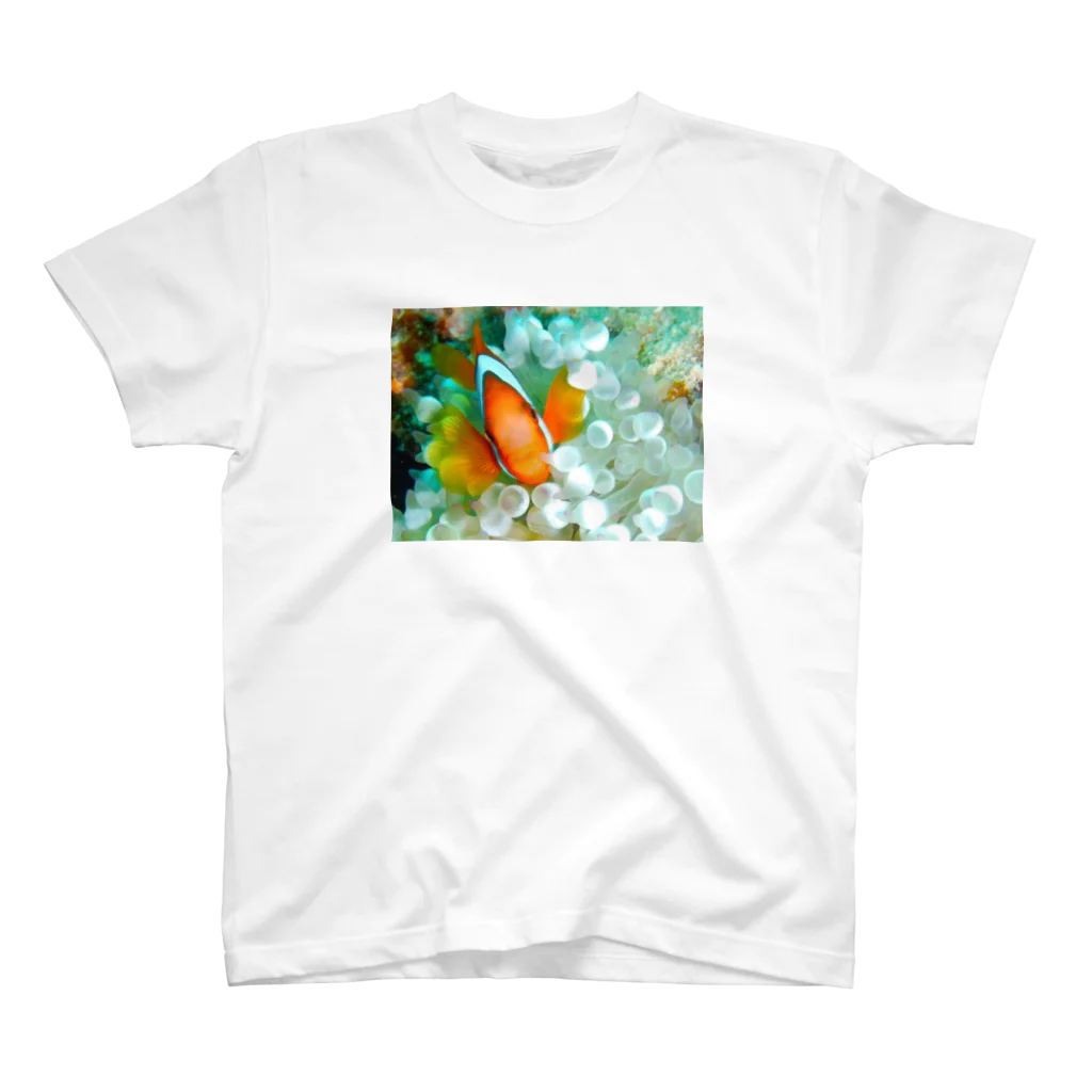 KOANANI GRAPHIC のNEMO スタンダードTシャツ