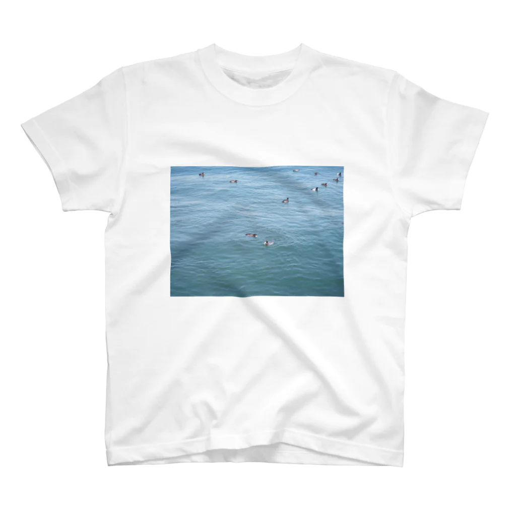 昨日の今日の横浜の海 スタンダードTシャツ