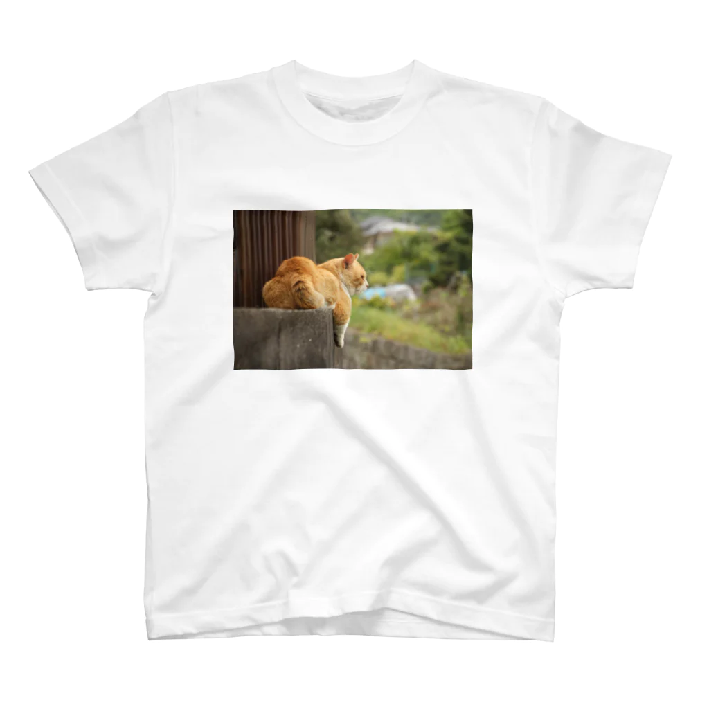 拓庵の夕涼み猫 ～黄昏～ スタンダードTシャツ