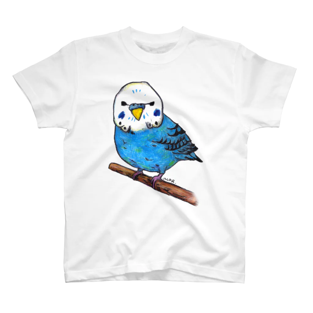 アコルのセキセイインコ スタンダードTシャツ