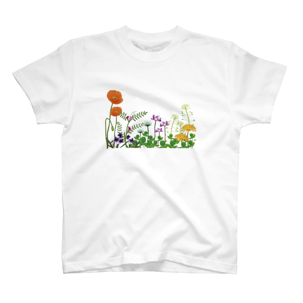 Drecome_Designの 野の花 スタンダードTシャツ