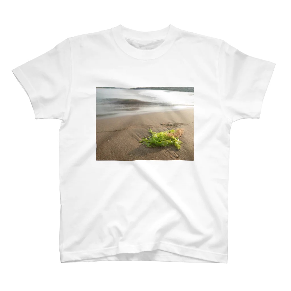 紫咲うにの浜辺に打ち上げられた海藻 Regular Fit T-Shirt