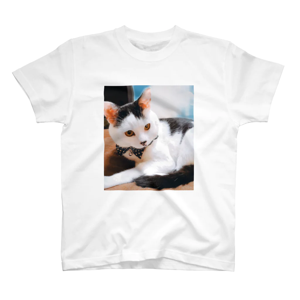 ニャンコさん🐈🐾のマロちゃんA スタンダードTシャツ