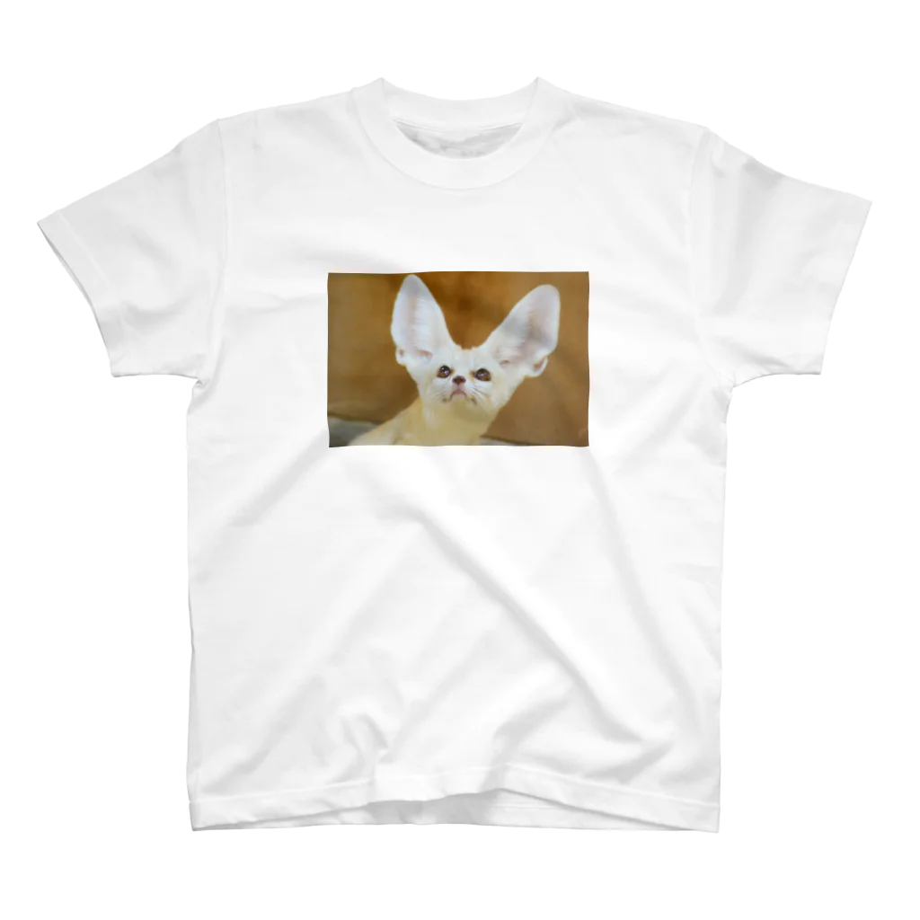 Catoneのフェネックシリーズ スタンダードTシャツ