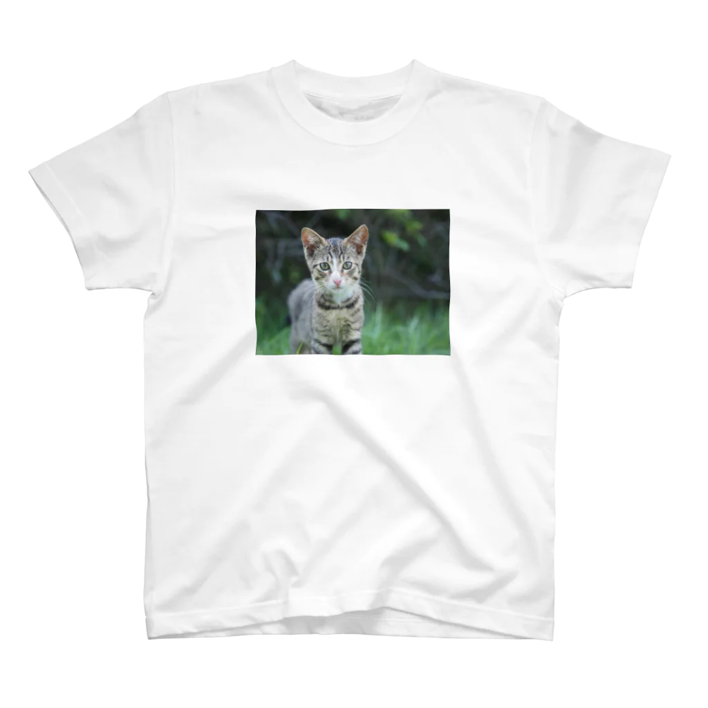 のら猫屋さんののら仔猫 Regular Fit T-Shirt